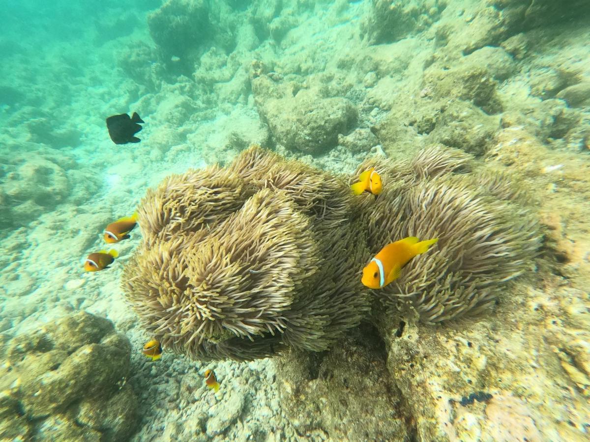 Ocean Vista Maldives,Maafushi Hotel ภายนอก รูปภาพ